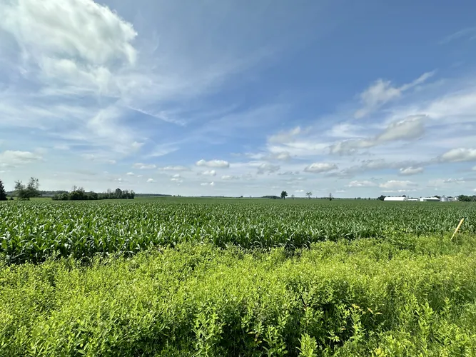 2023-07-08-10-55-30.jpg