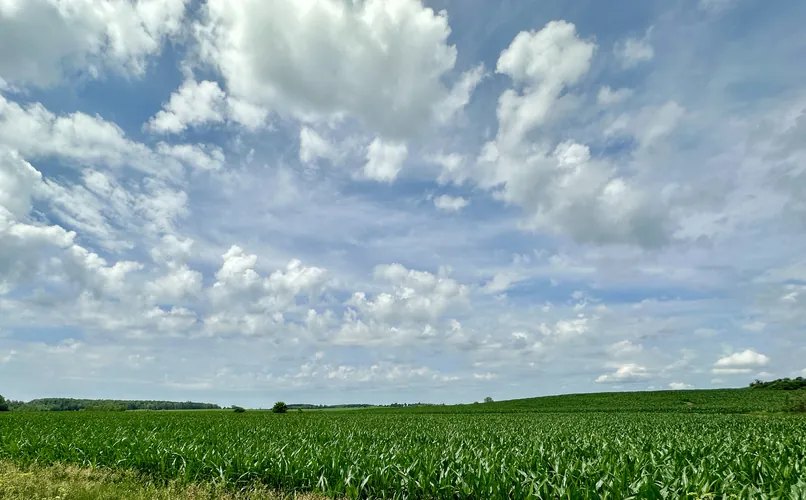 2023-07-08-11-47-06.jpg