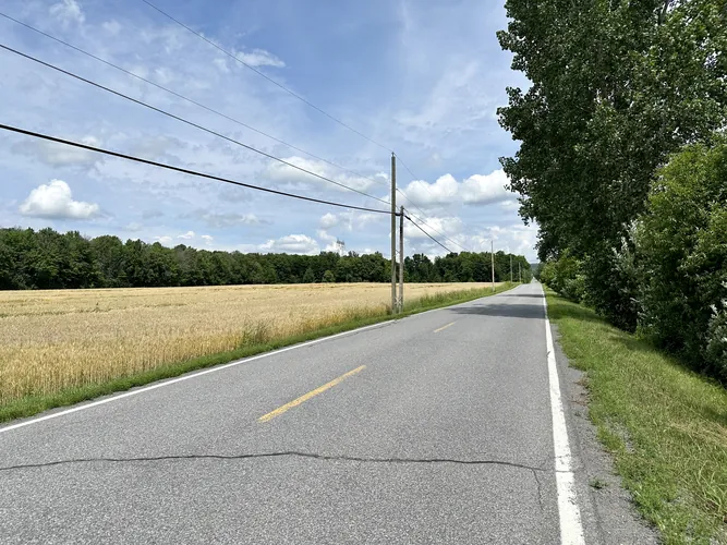 2023-07-08-12-29-05.jpg