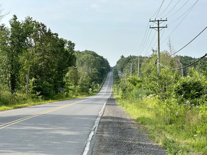 2023-07-15-08-10-48.jpg