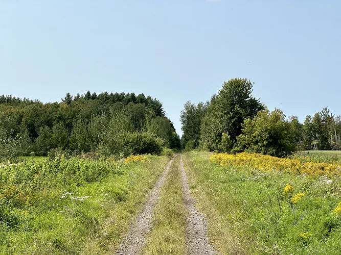 2023-09-01-13-39-27.jpg