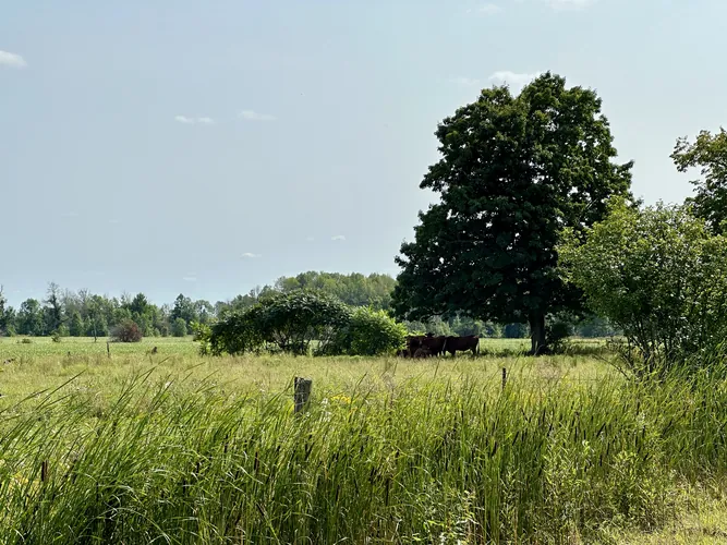 2023-09-01-14-20-20.jpg
