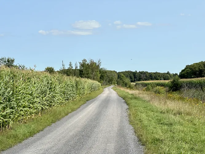 2023-09-01-15-11-36.jpg