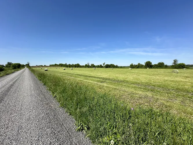 2024-06-01-09-59-42.jpg