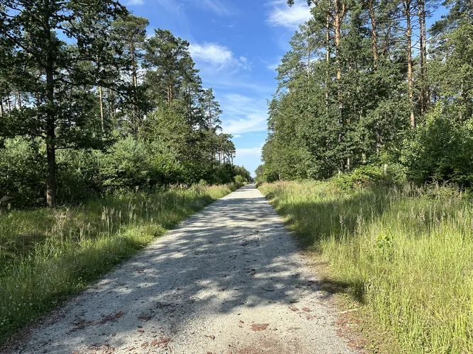 2024-06-29-08-55-01.jpg
