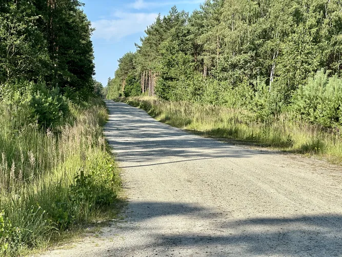 2024-06-29-08-57-57.jpg
