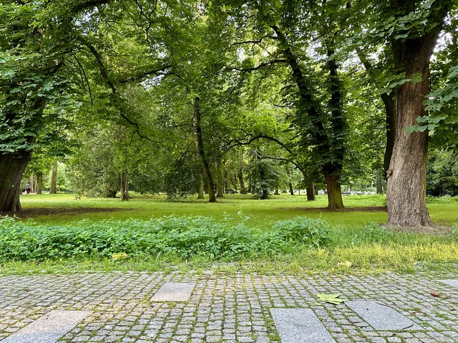 2024-07-04-19-53-24.jpg