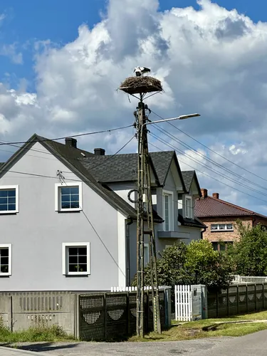 2024-07-05-11-02-09.jpg