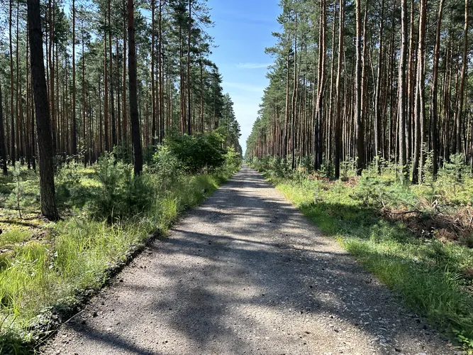 2024-07-06-10-04-08.jpg