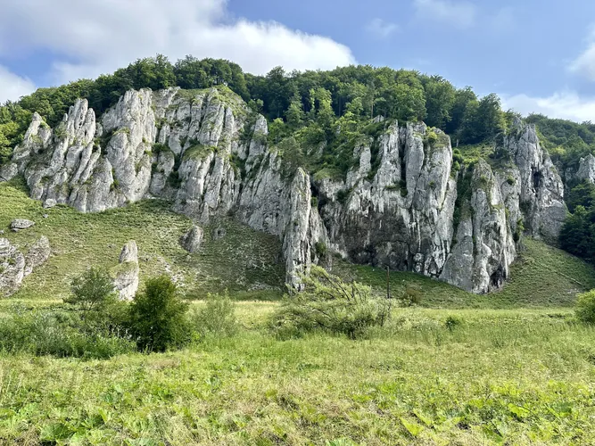 2024-07-08-10-16-44.jpg