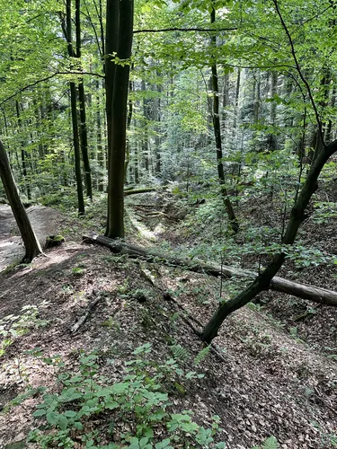 2024-07-09-15-41-12.jpg