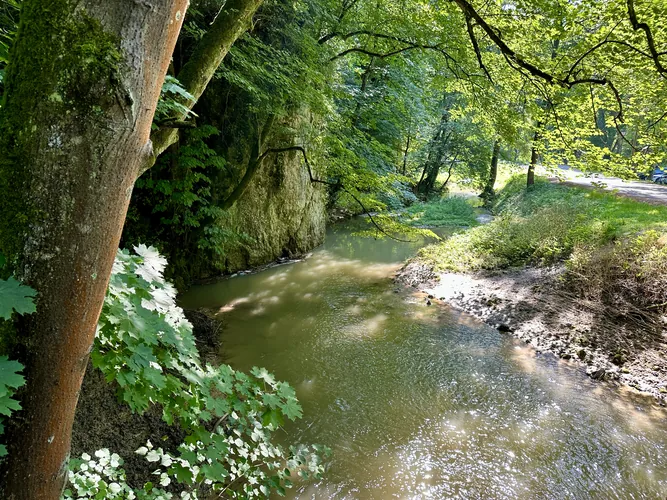 2024-07-09-15-55-05.jpg