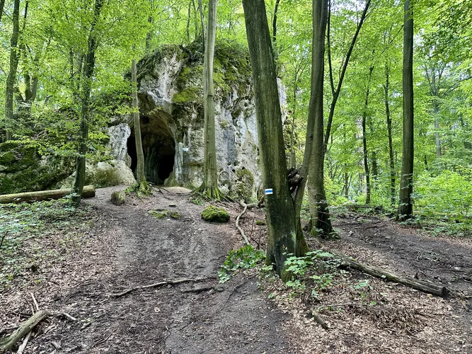2024-07-11-12-36-07.jpg