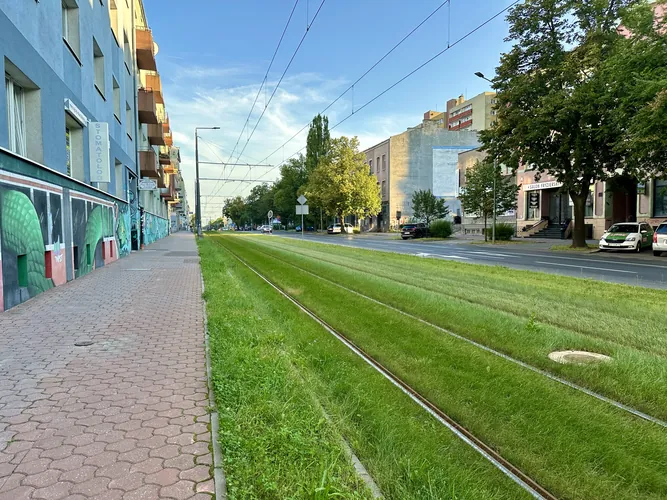 2024-07-13-19-41-00.jpg