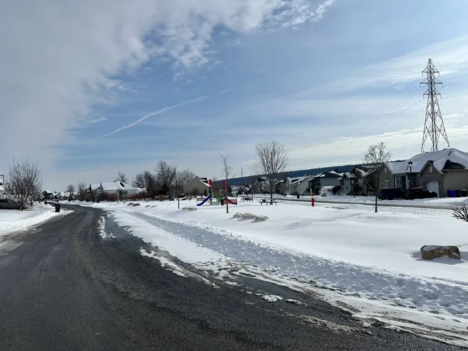 2025-01-31-12-06-23.jpg