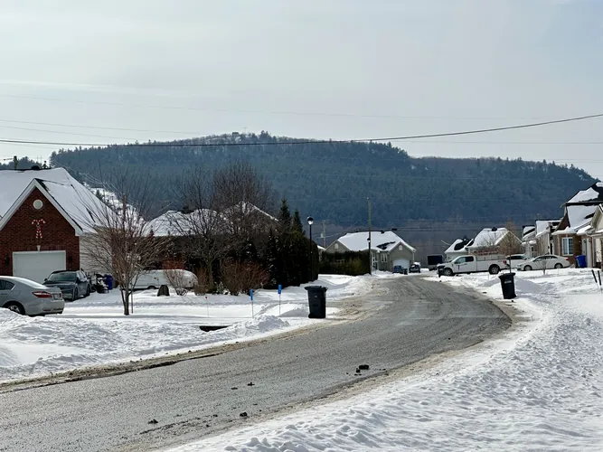 2025-01-31-12-12-08.jpg