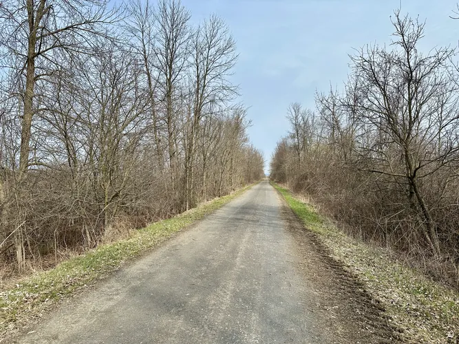 2025-04-25-16-19-22.jpg