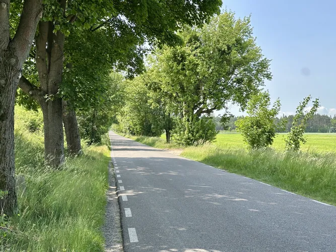 2025-06-04-11-03-30.jpg