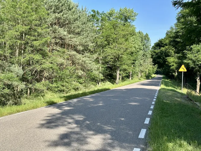 2025-06-22-08-44-15.jpg