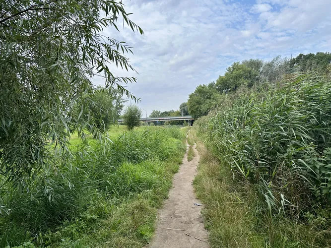 2025-08-10-09-20-23.jpg