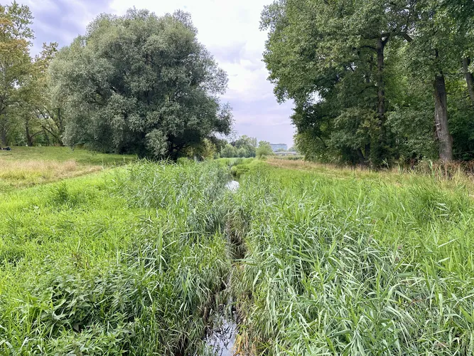 2025-08-10-09-25-06.jpg