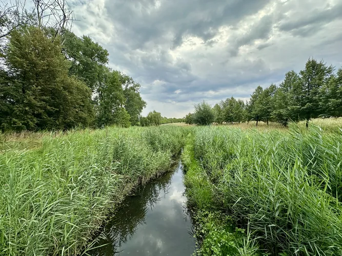 2025-08-10-09-25-27.jpg