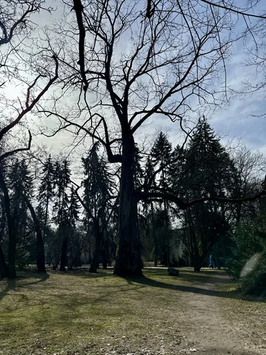 2026-03-08-11-48-24.jpg
