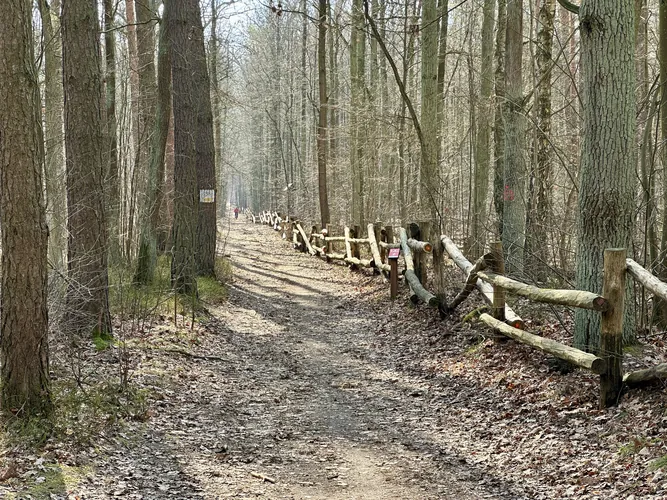 2026-03-15-10-36-19.jpg