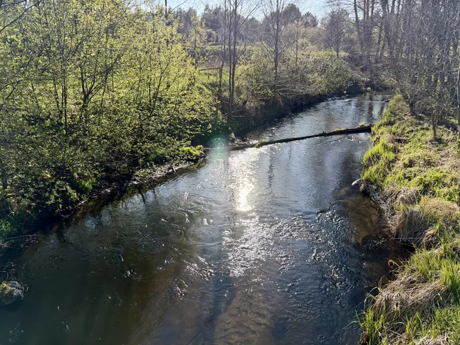 2026-05-01-17-29-14.jpg