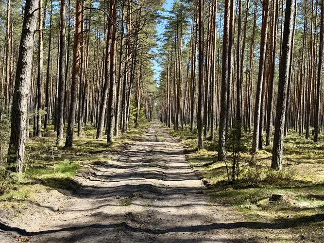 2026-05-02-11-05-41.jpg