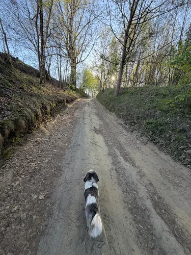 2026-05-02-18-36-32.jpg